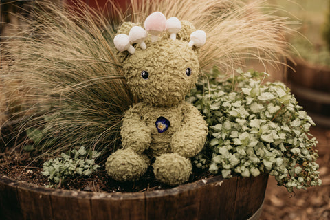 Wee WhimsyWilde (FINAL RUN)