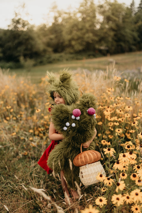 EverWilde Plush And Book Bundle