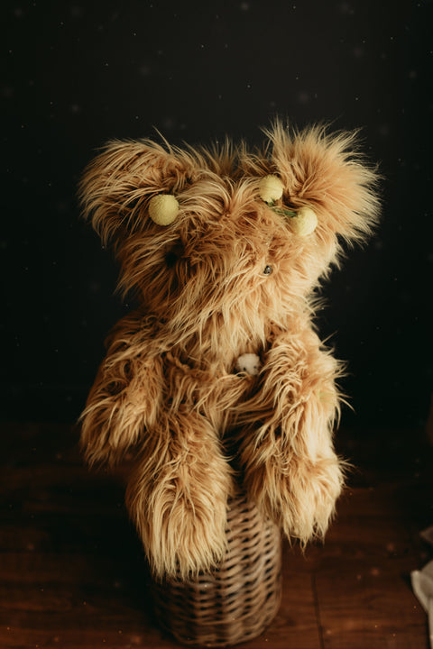 Extra Quirky Creatures (Seconds)
